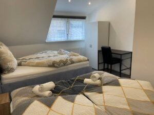 Gemutliches Apartment in Geisenheim 3